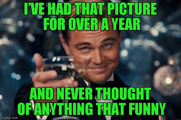 Leonardo Dicaprio Cheers Meme | I'VE HAD THAT PICTURE FOR OVER A YEAR AND NEVER THOUGHT OF ANYTHING THAT FUNNY | image tagged in memes,leonardo dicaprio cheers | made w/ Imgflip meme maker
