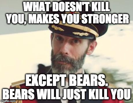 I can see that. | WHAT DOESN'T KILL YOU, MAKES YOU STRONGER; EXCEPT BEARS. BEARS WILL JUST KILL YOU | image tagged in captain obvious,bears,bacon,kill | made w/ Imgflip meme maker