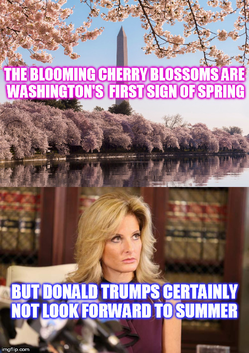 A Summer Season of Trump Trials  | THE BLOOMING CHERRY BLOSSOMS ARE WASHINGTON'S  FIRST SIGN OF SPRING; BUT DONALD TRUMPS CERTAINLY NOT LOOK FORWARD TO SUMMER | image tagged in donald trump | made w/ Imgflip meme maker