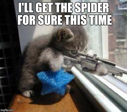 Cats with Guns | I'LL GET THE SPIDER FOR SURE THIS TIME | image tagged in cats with guns | made w/ Imgflip meme maker