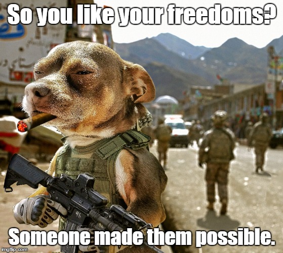 Army Dog | So you like your freedoms? Someone made them possible. | image tagged in army dog | made w/ Imgflip meme maker