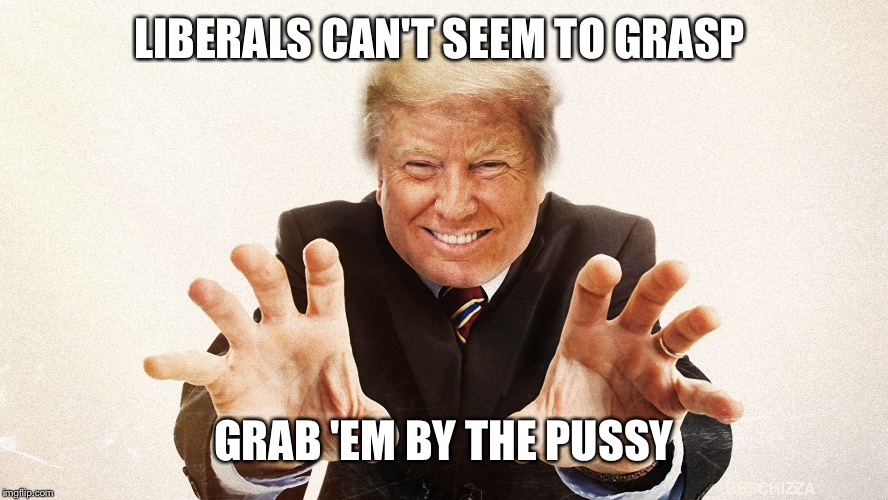 LIBERALS CAN'T SEEM TO GRASP GRAB 'EM BY THE PUSSY | made w/ Imgflip meme maker