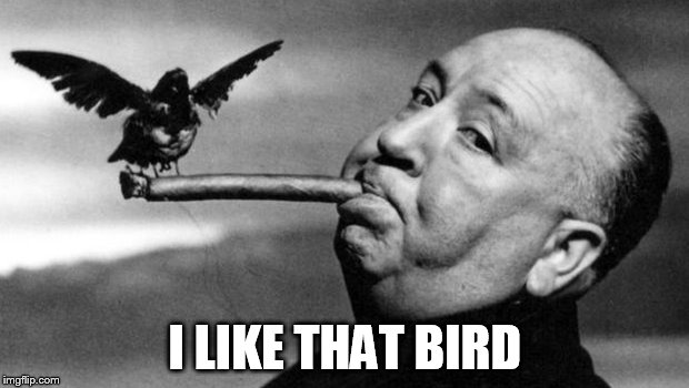 I LIKE THAT BIRD | made w/ Imgflip meme maker