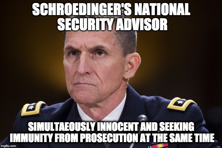 Michael Flynn | SCHROEDINGER'S NATIONAL SECURITY ADVISOR; SIMULTAEOUSLY INNOCENT AND SEEKING IMMUNITY FROM PROSECUTION AT THE SAME TIME | image tagged in michael flynn | made w/ Imgflip meme maker