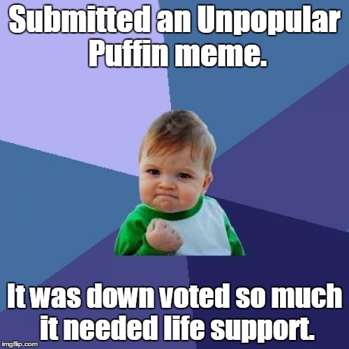 Success Kid | Submitted an Unpopular Puffin meme. It was down voted so much it needed life support. | image tagged in memes,success kid | made w/ Imgflip meme maker