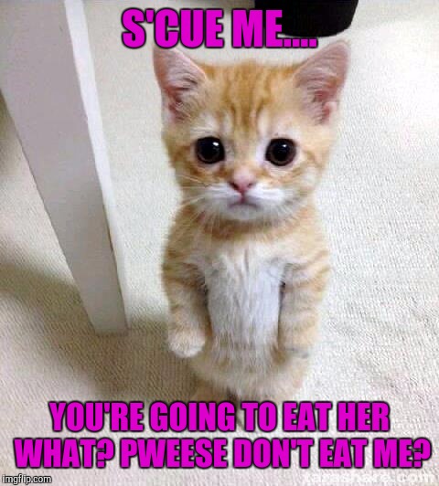 Cute Cat | S'CUE ME.... YOU'RE GOING TO EAT HER WHAT? PWEESE DON'T EAT ME? | image tagged in memes,cute cat | made w/ Imgflip meme maker