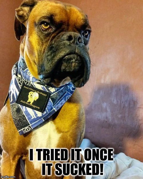 Grumpy Dog | I TRIED IT ONCE IT SUCKED! | image tagged in grumpy dog | made w/ Imgflip meme maker