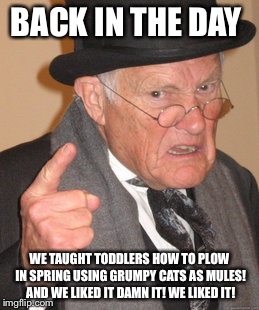 Back In My Day Meme | BACK IN THE DAY WE TAUGHT TODDLERS HOW TO PLOW IN SPRING USING GRUMPY CATS AS MULES! AND WE LIKED IT DAMN IT! WE LIKED IT! | image tagged in memes,back in my day | made w/ Imgflip meme maker