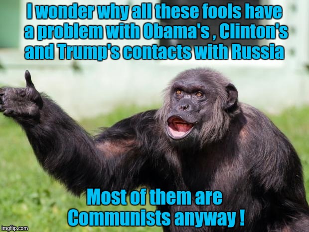 Gorilla your dreams | I wonder why all these fools have a problem with Obama's , Clinton's and Trump's contacts with Russia Most of them are Communists anyway ! | image tagged in gorilla your dreams | made w/ Imgflip meme maker