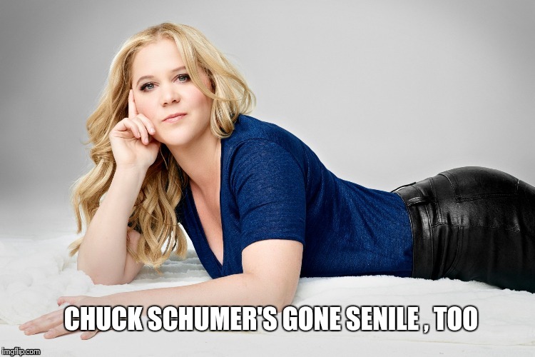 Amy Schumer | CHUCK SCHUMER'S GONE SENILE , TOO | image tagged in amy schumer | made w/ Imgflip meme maker