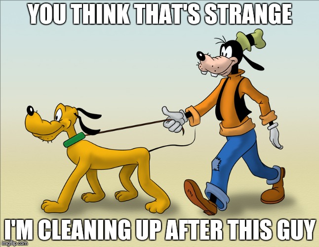 YOU THINK THAT'S STRANGE I'M CLEANING UP AFTER THIS GUY | image tagged in goofy and pluto | made w/ Imgflip meme maker
