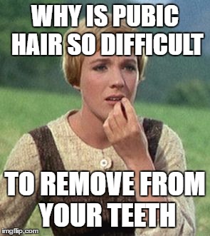 Julie Andrews confused | WHY IS PUBIC HAIR SO DIFFICULT; TO REMOVE FROM YOUR TEETH | image tagged in julie andrews confused | made w/ Imgflip meme maker