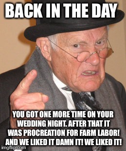 Back In My Day Meme | BACK IN THE DAY YOU GOT ONE MORE TIME ON YOUR WEDDING NIGHT. AFTER THAT IT WAS PROCREATION FOR FARM LABOR! AND WE LIKED IT DAMN IT! WE LIKED | image tagged in memes,back in my day | made w/ Imgflip meme maker