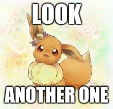 Another Eevee (I'm out of ideas now) for Pokemon week | LOOK; ANOTHER ONE | image tagged in memes,breakingangel224,pokemon week | made w/ Imgflip meme maker