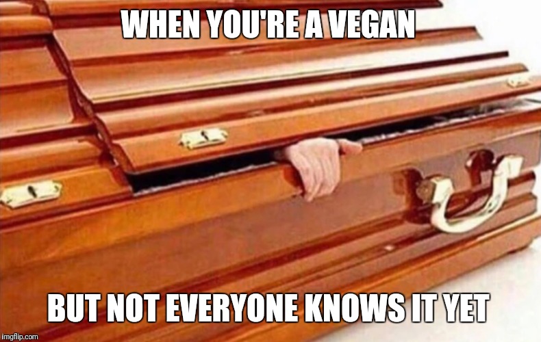 Afterlife Vegan Has Not Completed His Mission  | WHEN YOU'RE A VEGAN; BUT NOT EVERYONE KNOWS IT YET | image tagged in funny,memes,vegan,vegan4life | made w/ Imgflip meme maker