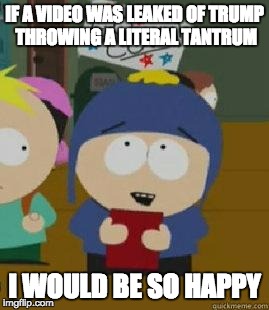 Craig Would Be So Happy | IF A VIDEO WAS LEAKED OF TRUMP THROWING A LITERAL TANTRUM; I WOULD BE SO HAPPY | image tagged in craig would be so happy,AdviceAnimals | made w/ Imgflip meme maker