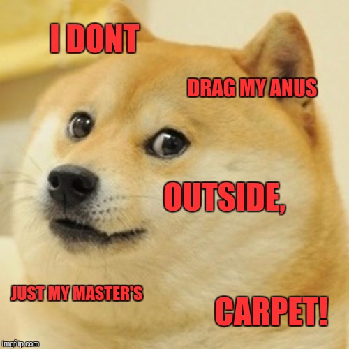 Doge Meme | I DONT DRAG MY ANUS OUTSIDE, JUST MY MASTER'S CARPET! | image tagged in memes,doge | made w/ Imgflip meme maker