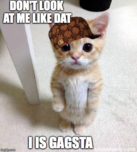 Cute Cat | DON'T LOOK AT ME LIKE DAT; I IS GAGSTA | image tagged in memes,cute cat,scumbag | made w/ Imgflip meme maker