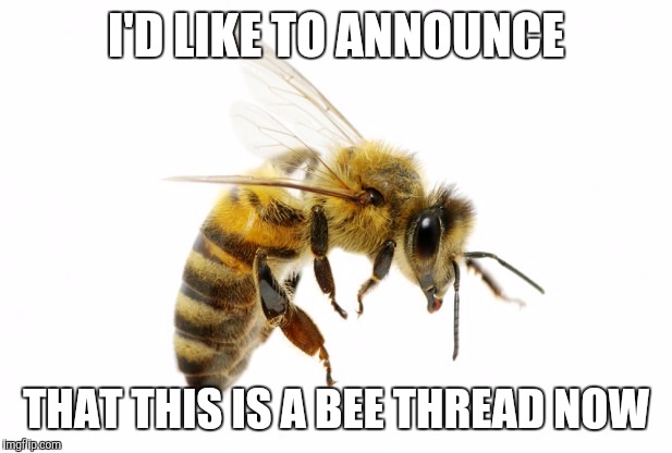 I'D LIKE TO ANNOUNCE; THAT THIS IS A BEE THREAD NOW | image tagged in bee | made w/ Imgflip meme maker