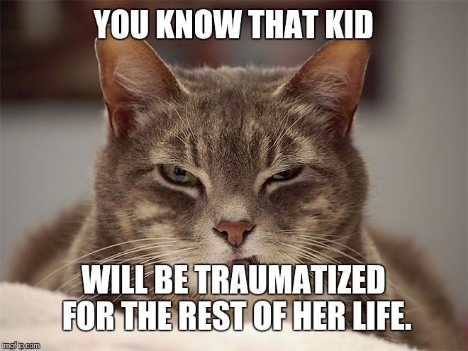 Sarcasm Cat | YOU KNOW THAT KID WILL BE TRAUMATIZED FOR THE REST OF HER LIFE. | image tagged in sarcasm cat | made w/ Imgflip meme maker