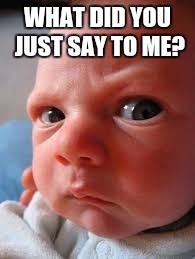 WHAT DID YOU JUST SAY TO ME? | image tagged in babies | made w/ Imgflip meme maker