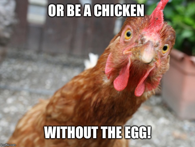 OR BE A CHICKEN WITHOUT THE EGG! | made w/ Imgflip meme maker