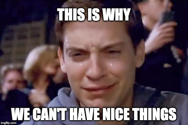 Tobey Maguire crying | THIS IS WHY; WE CAN'T HAVE NICE THINGS | image tagged in tobey maguire crying | made w/ Imgflip meme maker