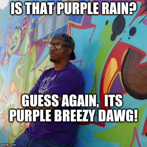 Mal Magneto | IS THAT PURPLE RAIN? GUESS AGAIN, 
ITS PURPLE BREEZY DAWG! | image tagged in purple breezy song,running with the sun | made w/ Imgflip meme maker