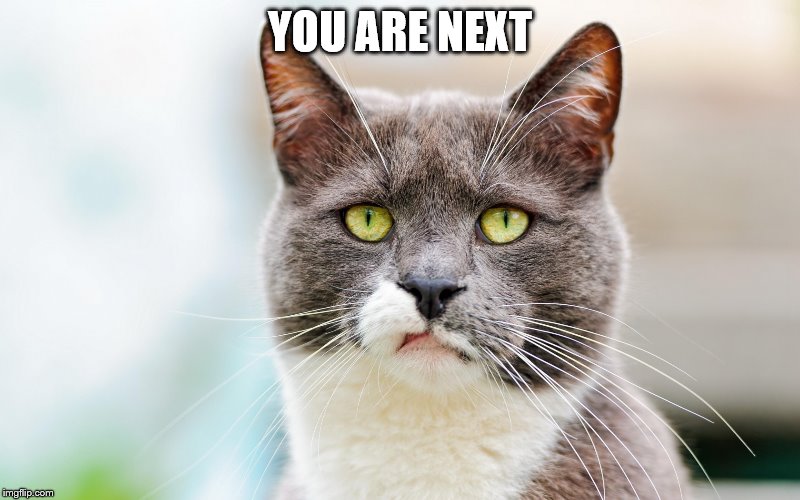 YOU ARE NEXT | image tagged in burpp | made w/ Imgflip meme maker