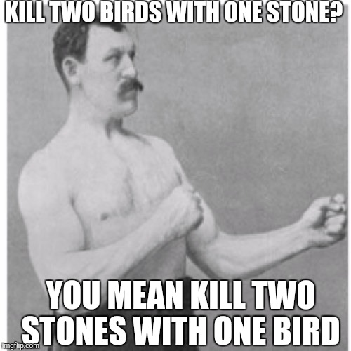 Overly Manly Man Meme | KILL TWO BIRDS WITH ONE STONE? YOU MEAN KILL TWO STONES WITH ONE BIRD | image tagged in memes,overly manly man | made w/ Imgflip meme maker
