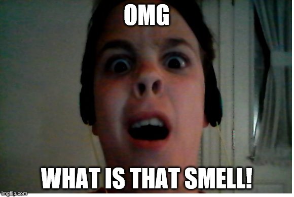What is that smell! | OMG; WHAT IS THAT SMELL! | image tagged in funny memes,what smell | made w/ Imgflip meme maker