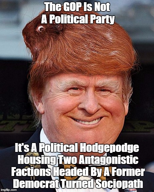 The GOP Is Not A Political Party | The GOP Is Not A Political Party It's A Political Hodgepodge Housing Two Antagonistic Factions Headed By A Former Democrat Turned Sociopath | image tagged in gop,republican party | made w/ Imgflip meme maker