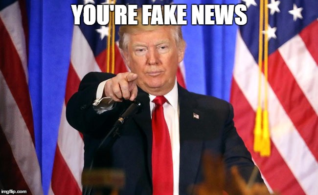 You're fake news | YOU'RE FAKE NEWS | image tagged in you're,fake,news,donald,trump,cnn | made w/ Imgflip meme maker