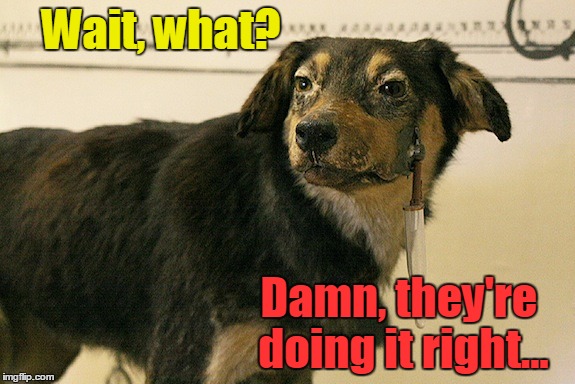Wait, what? Damn, they're doing it right... | made w/ Imgflip meme maker