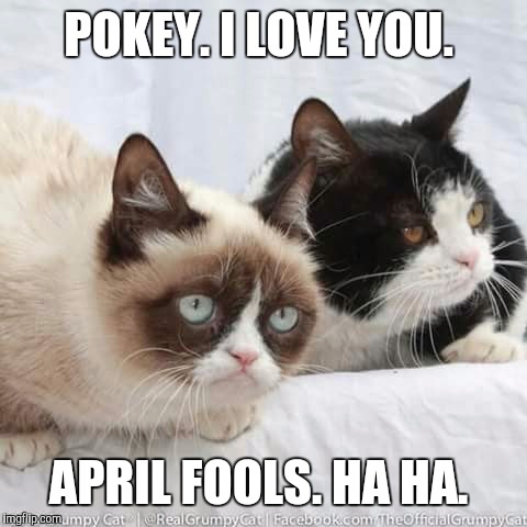POKEY. I LOVE YOU. APRIL FOOLS. HA HA. | made w/ Imgflip meme maker