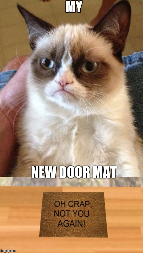 Grumpy cat  | MY; NEW DOOR MAT | image tagged in grumpy cat,memes | made w/ Imgflip meme maker