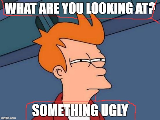 Futurama Fry Meme | WHAT ARE YOU LOOKING AT? SOMETHING UGLY | image tagged in memes,futurama fry | made w/ Imgflip meme maker