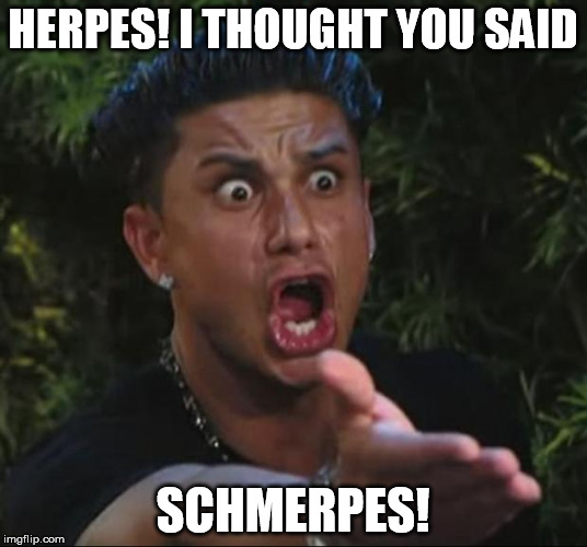DJ Pauly D | HERPES! I THOUGHT YOU SAID; SCHMERPES! | image tagged in memes,dj pauly d | made w/ Imgflip meme maker