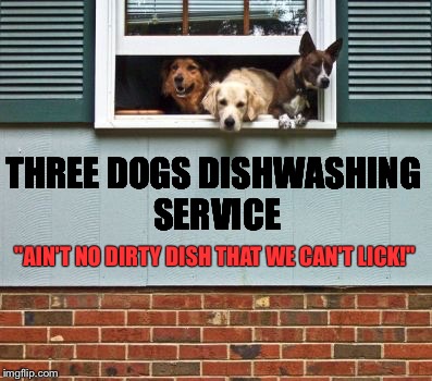 It's a Doggy Dog World | THREE DOGS DISHWASHING SERVICE; "AIN'T NO DIRTY DISH THAT WE CAN'T LICK!" | image tagged in down to business dog | made w/ Imgflip meme maker