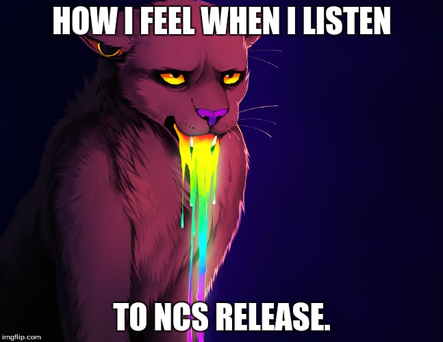 Great songs. A must listen to! (Also, currently in a meme war. I will fight like my imgflip career depends on it!) | HOW I FEEL WHEN I LISTEN; TO NCS RELEASE. | image tagged in rainbow barfing cat,ncs release,music,meme war | made w/ Imgflip meme maker