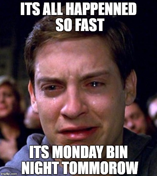 Bin Night Disaster | ITS ALL HAPPENNED SO FAST; ITS MONDAY BIN NIGHT TOMMOROW | image tagged in toby mcguire tears,relationships,memes,funny,gifs,funny memes | made w/ Imgflip meme maker