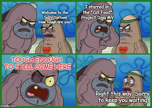 Welcome to the Salty Spitoon... | I starred in the "Cat Food" Project Diva MV; Welcome to the Salty Spitoon How tough are you? TOUGH ENOUGH TO STILL COME HERE; Right this way.
Sorry to keep you waiting. | image tagged in welcome to the salty spitoon | made w/ Imgflip meme maker