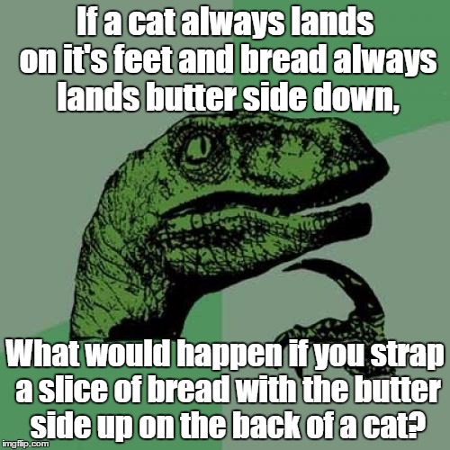 Philosoraptor | If a cat always lands on it's feet and bread always lands butter side down, What would happen if you strap a slice of bread with the butter side up on the back of a cat? | image tagged in memes,philosoraptor | made w/ Imgflip meme maker