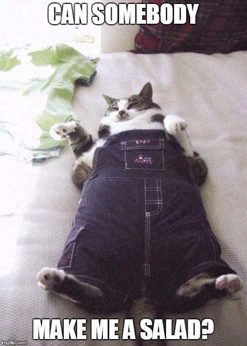 Fat Cat | CAN SOMEBODY; MAKE ME A SALAD? | image tagged in memes,fat cat | made w/ Imgflip meme maker