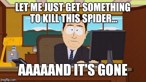 Aaaaand Its Gone | LET ME JUST GET SOMETHING TO KILL THIS SPIDER... AAAAAND IT'S GONE | image tagged in memes,aaaaand its gone | made w/ Imgflip meme maker