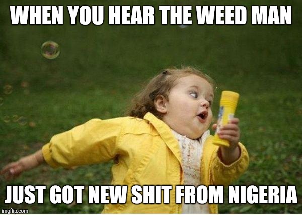 Chubby Bubbles Girl Meme | WHEN YOU HEAR THE WEED MAN; JUST GOT NEW SHIT FROM NIGERIA | image tagged in memes,chubby bubbles girl | made w/ Imgflip meme maker