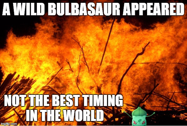 A Wild Bulbasaur Appeared | A WILD BULBASAUR APPEARED; NOT THE BEST TIMING IN THE WORLD | image tagged in pokemon,pokemon go,memes,gifs,funny,fire | made w/ Imgflip meme maker