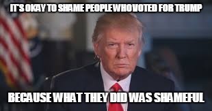 IT'S OKAY TO SHAME PEOPLE WHO VOTED FOR TRUMP; BECAUSE WHAT THEY DID WAS SHAMEFUL | image tagged in politics | made w/ Imgflip meme maker