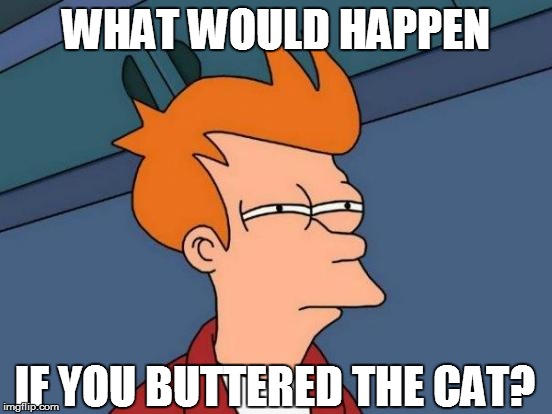 Futurama Fry Meme | WHAT WOULD HAPPEN IF YOU BUTTERED THE CAT? | image tagged in memes,futurama fry | made w/ Imgflip meme maker