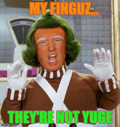 MY FINGUZ,,, THEY'RE NOT YUGE | made w/ Imgflip meme maker